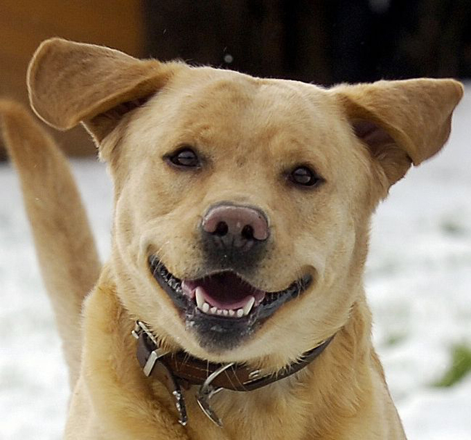 Итоги. Поделись улыбкой. Конкурс ассоциаций
