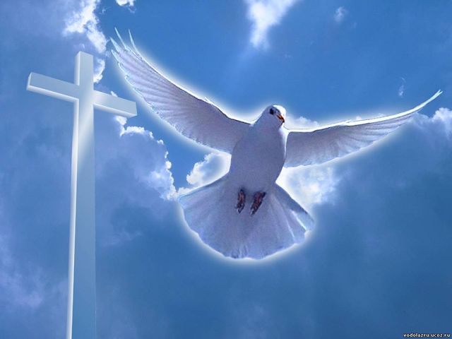 Белой ангельской крылости!