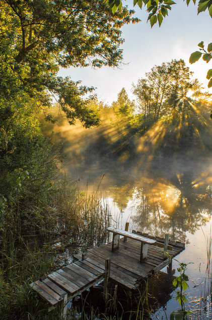 311. МАТ - ШАХУ