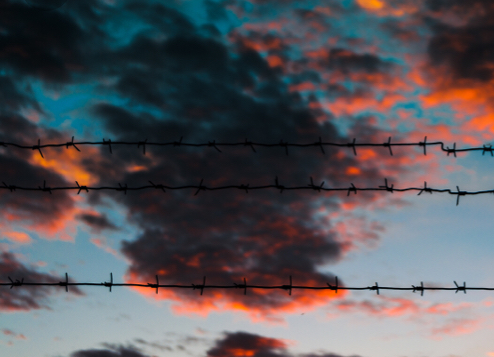 В краю несбывшихся надежд 2001