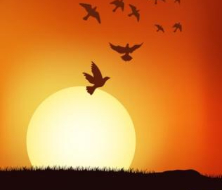 В час осеннего заката 2002