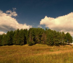 Деревенский погост