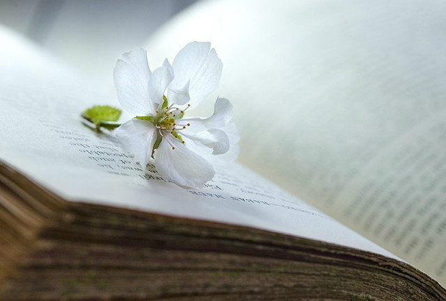 Во спасение