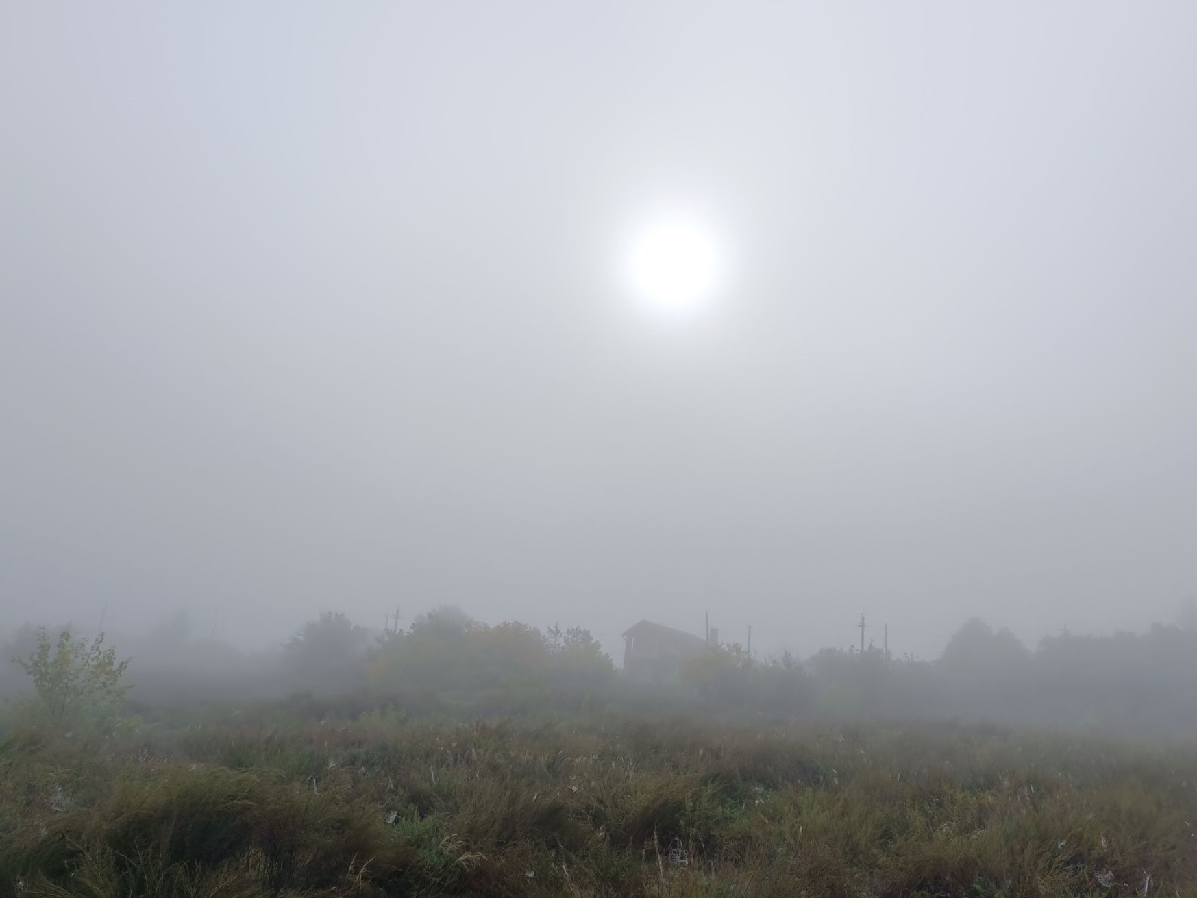 Искажение мира в отражении зеркал...