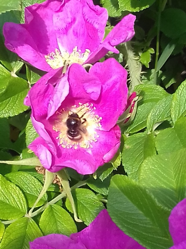 В жару от первого лица