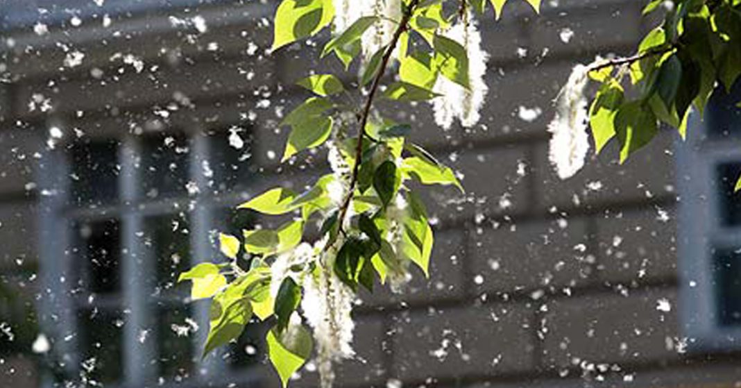 Снег в июле