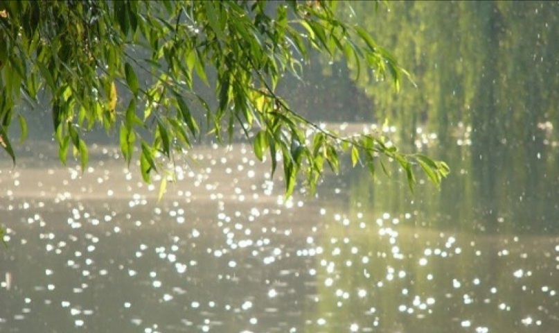 Дождливый день...