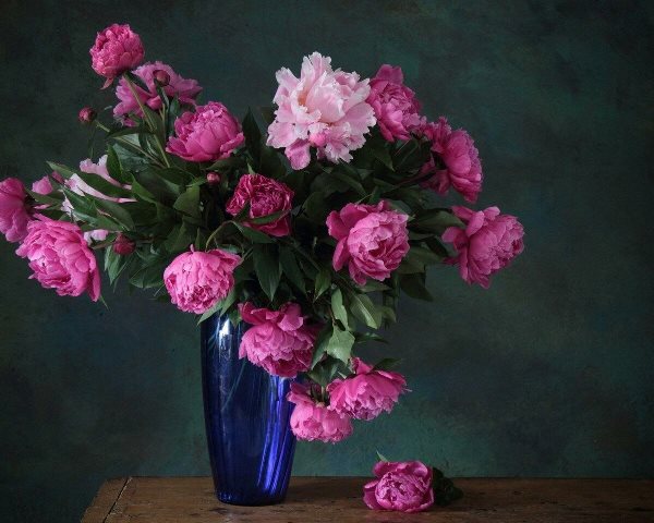 Тепло и свет