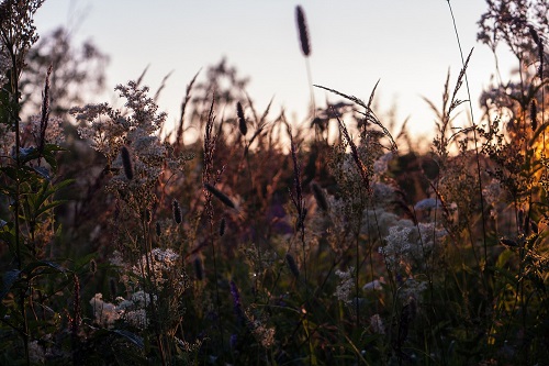 Подвластна ль жизни чья судьба?..