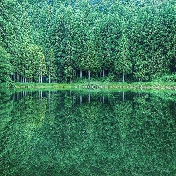 Искренне жаль