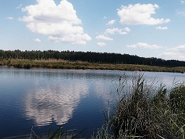 Девчонка с сединою в волосах