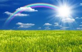 Не в осужденьи вижу суть понятий