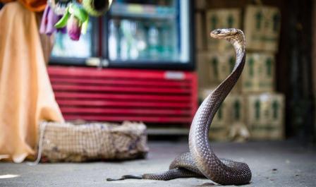 стихи о мамином празднике 8 марта