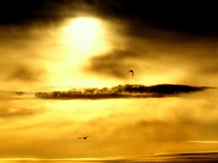 Спокойной ночи, солнце