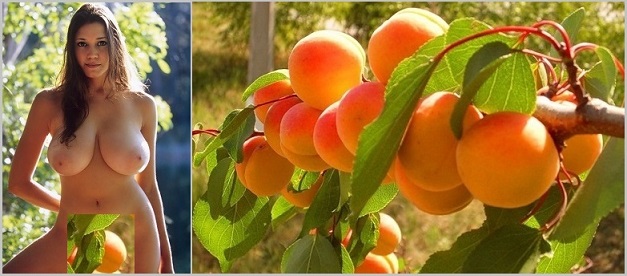 С медовым привкусом любви!