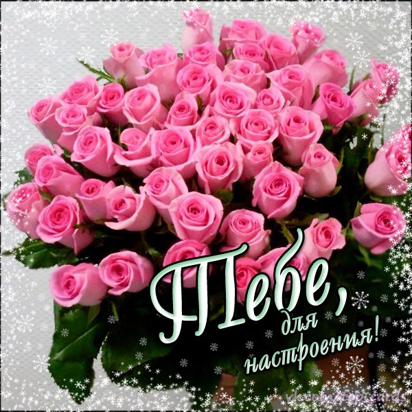 Посвящается девушке, мастеру своего дела...