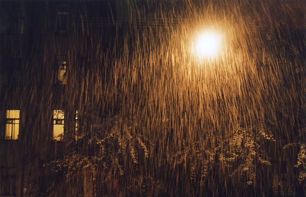 Разразилась ночью буря