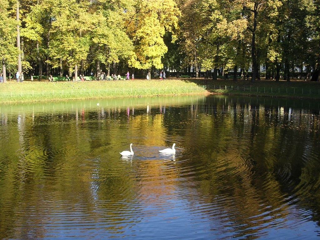 Озера в парках