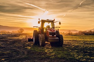 За околицей