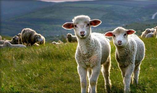 Лето! Солнце!