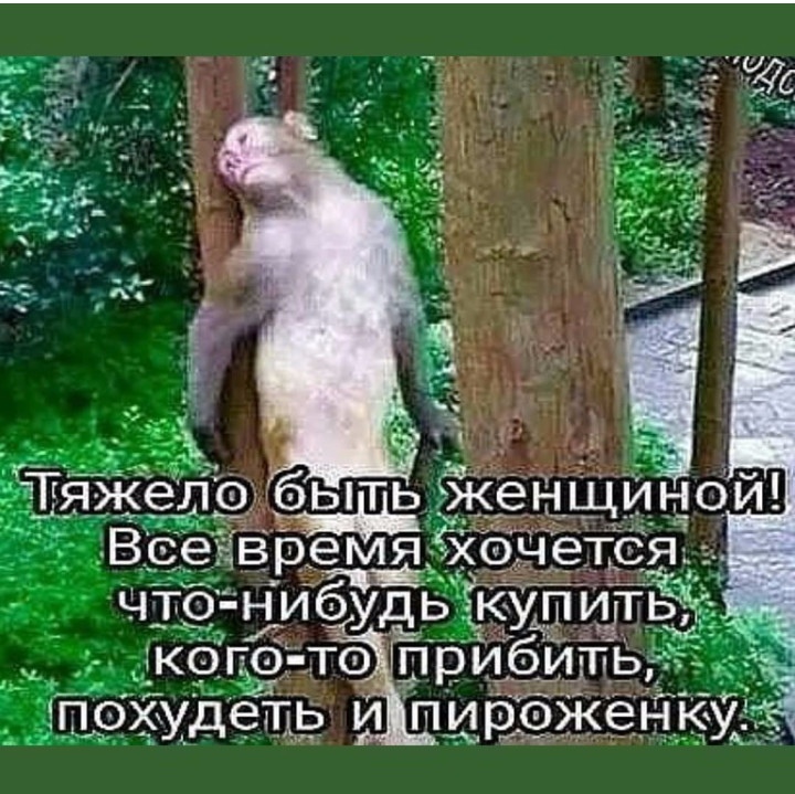 Шутка о себе и совести своей...