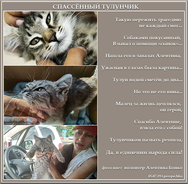 Спасённый Тулунчик