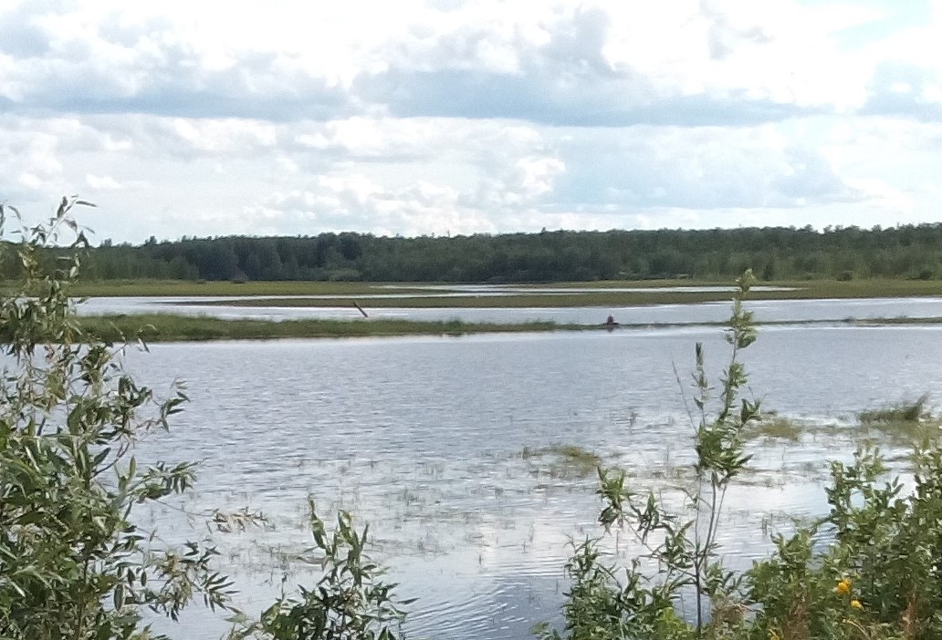 Ну привет речка (Некрасова Татьяна 2) / Стихи.ру