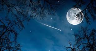 Теплая комета