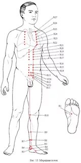 Сеанс иглоукалывания...
