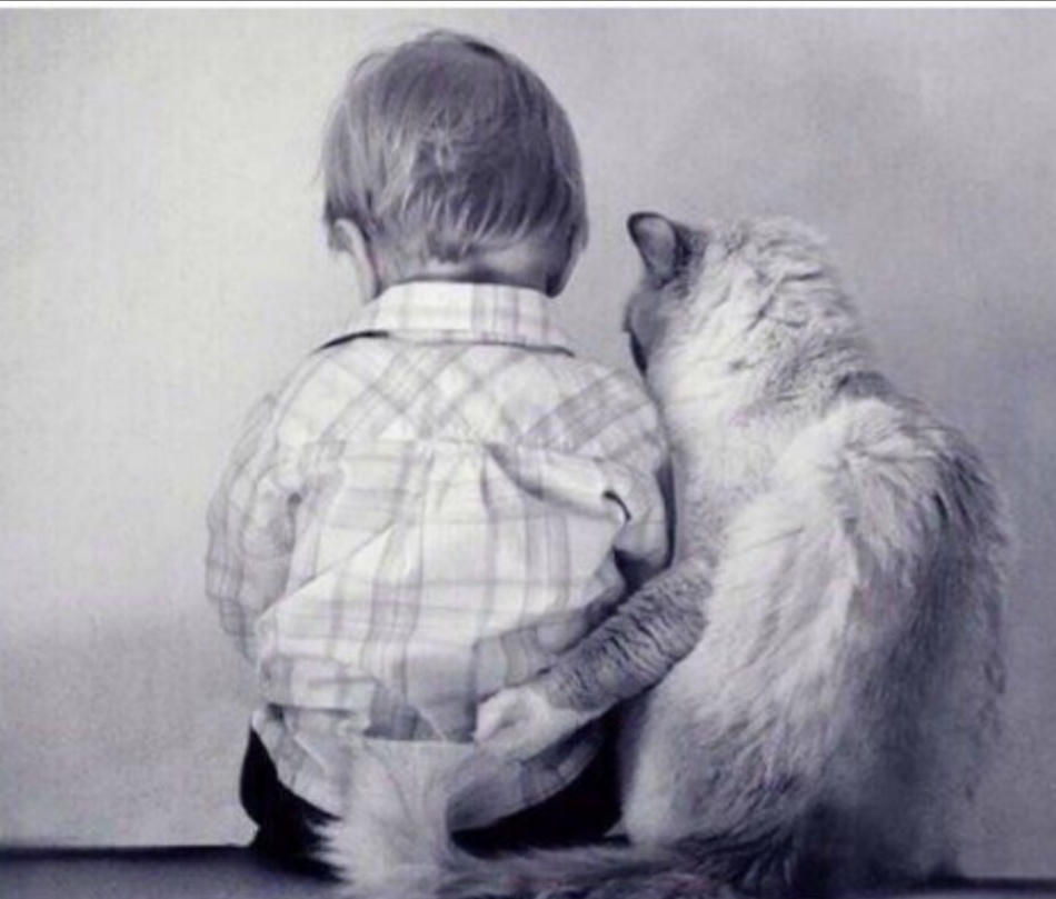 Настоящий друг