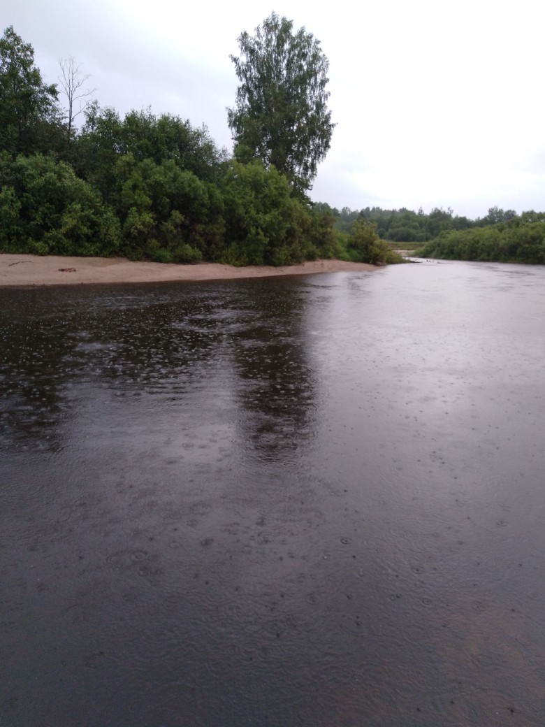 Нам осени пора предрешена