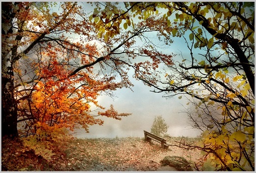 В лёгком мареве тумана ранней осени рассвет