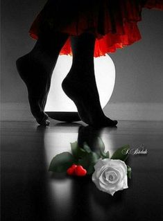 Здравствуй