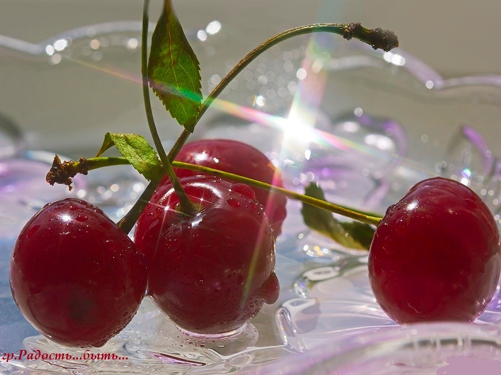 Ягоды в стекле. Стеклянные ягоды. Вишня. Вишня (ягода). Красивая вишня.