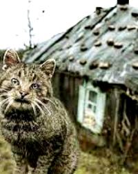 А ведь это родная земля!