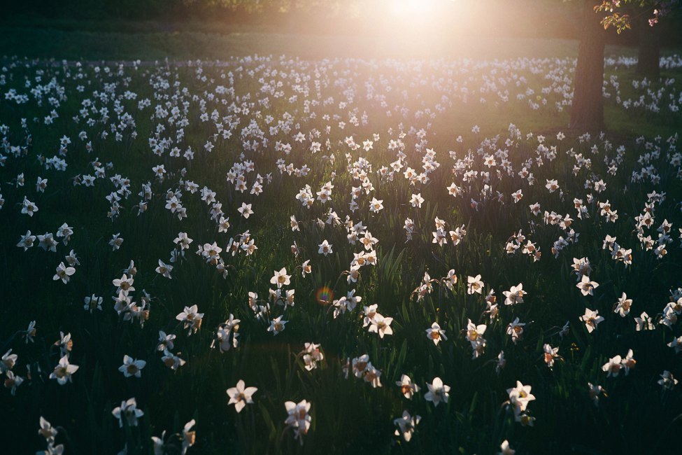 Увези меня мама