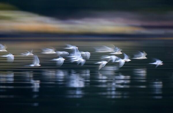 Потерянный рай