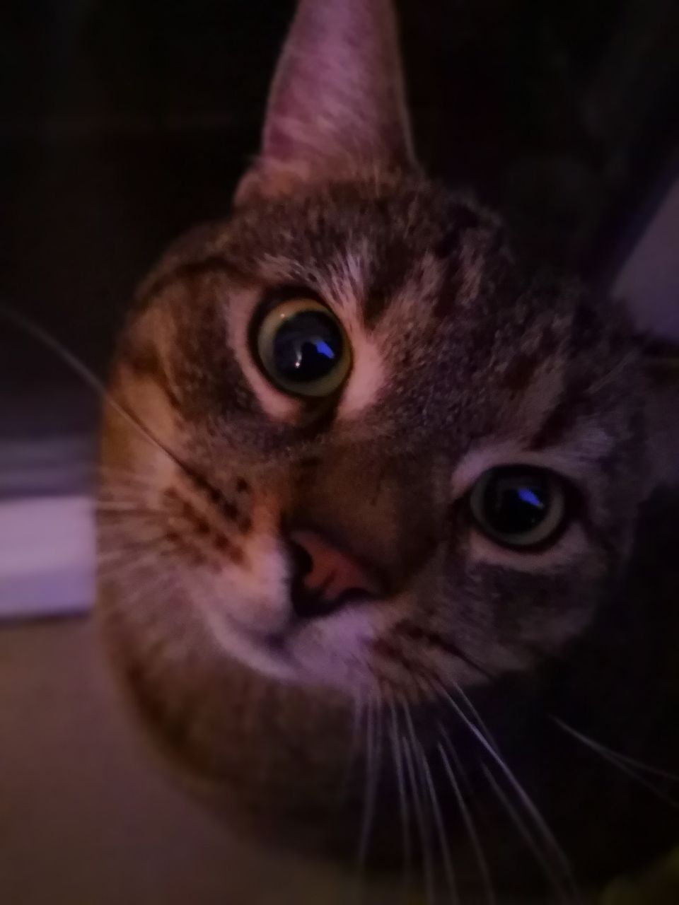 У ночного страха глаза велики