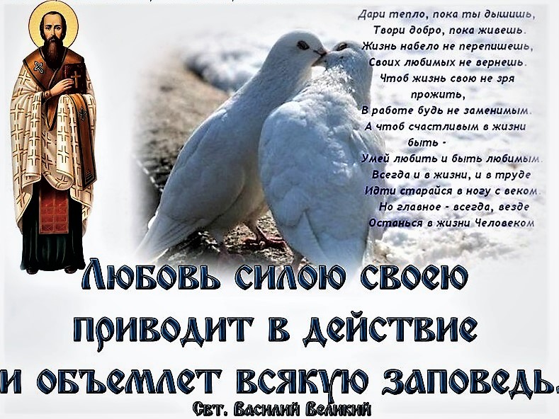 Красивые душевные стихи. Цените жизнь пока живется. Стихи подарите мне счастья. Стихотворение дари тепло пока ты дышишь. Пока ты даришь.