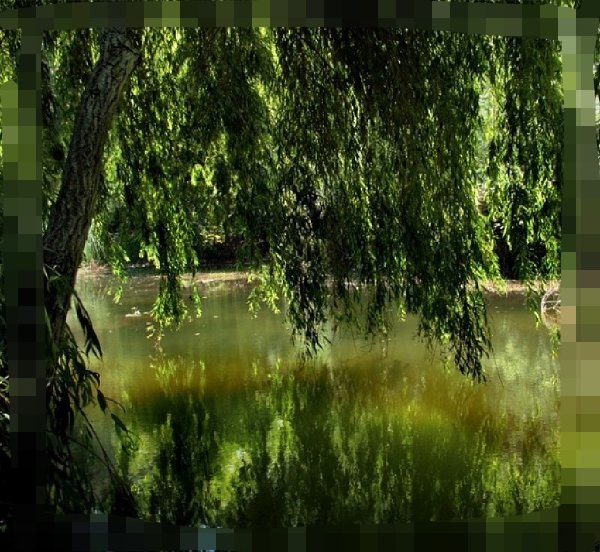 Песни о любви