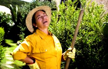 Кто куда, а я на дачу!