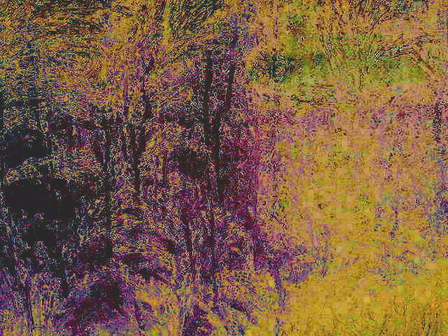 Замерзает остывшая кровь