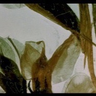 В лете помимо полуденной дремоты и дневного гомона