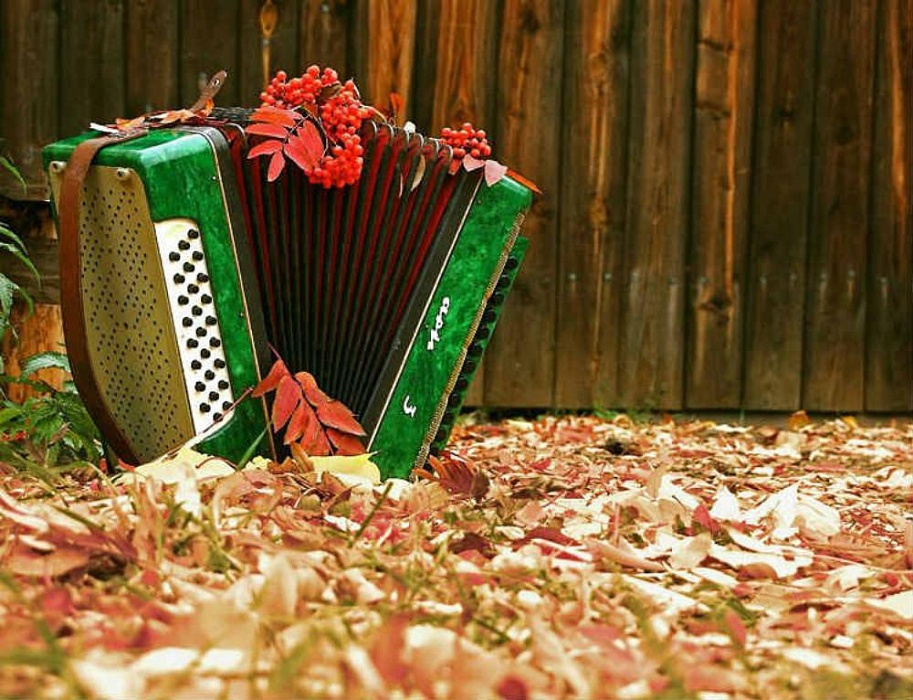 Где же ты гармошка?