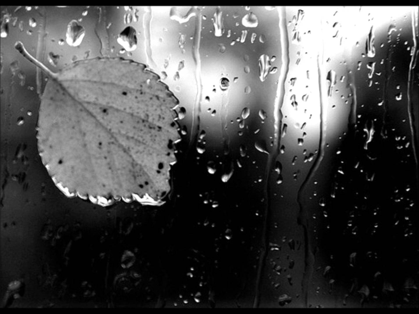 Капля грусти. Капли дождя. Грустный дождь. Дождь за окном. Капли на стекле.