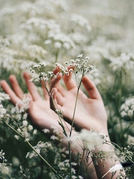 Теряет тот, кто хочет удержать