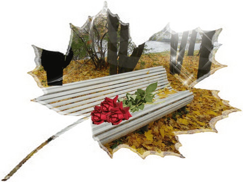 Прости меня, моя любовь