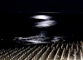 Лунная дорога