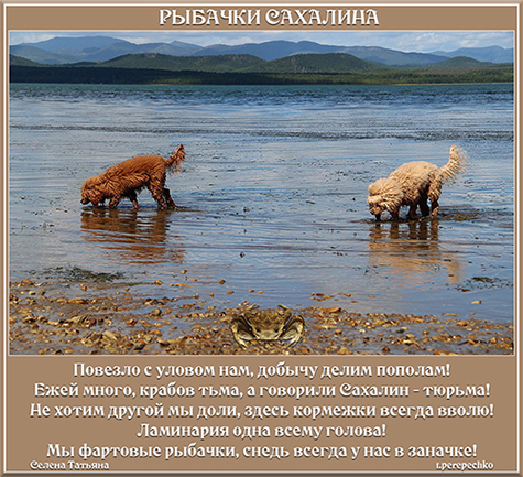 Рыбачки Сахалина