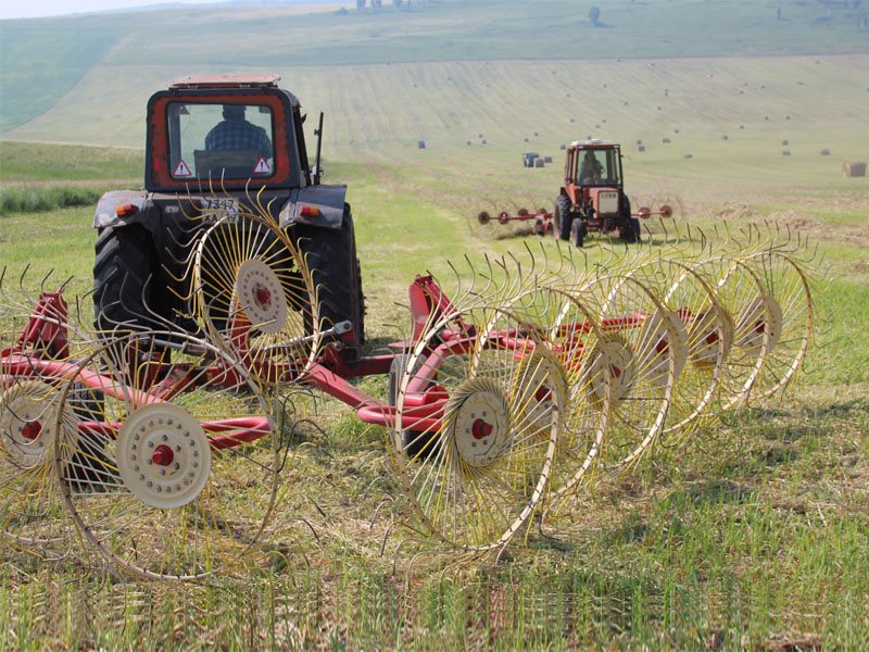 Итоги. Сенокосная пора. Конкурс ассоциаций